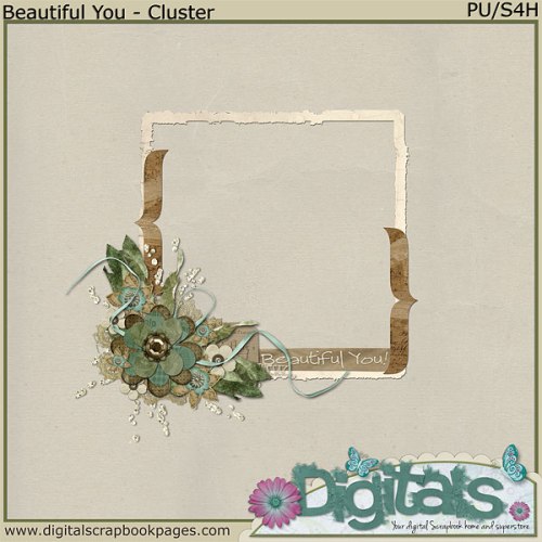 rittc_beautifulyou-cluster1